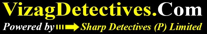 vizag detectives logo